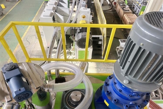 100-1000 secador do cristalizador do ANIMAL DE ESTIMAÇÃO do Kg/H com multi sistema da filtragem da fase